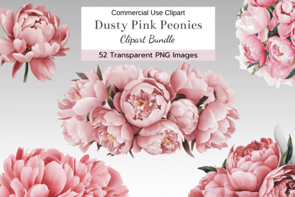 Download Dusty Pink Peony Clipart Bundle - Premium Resources